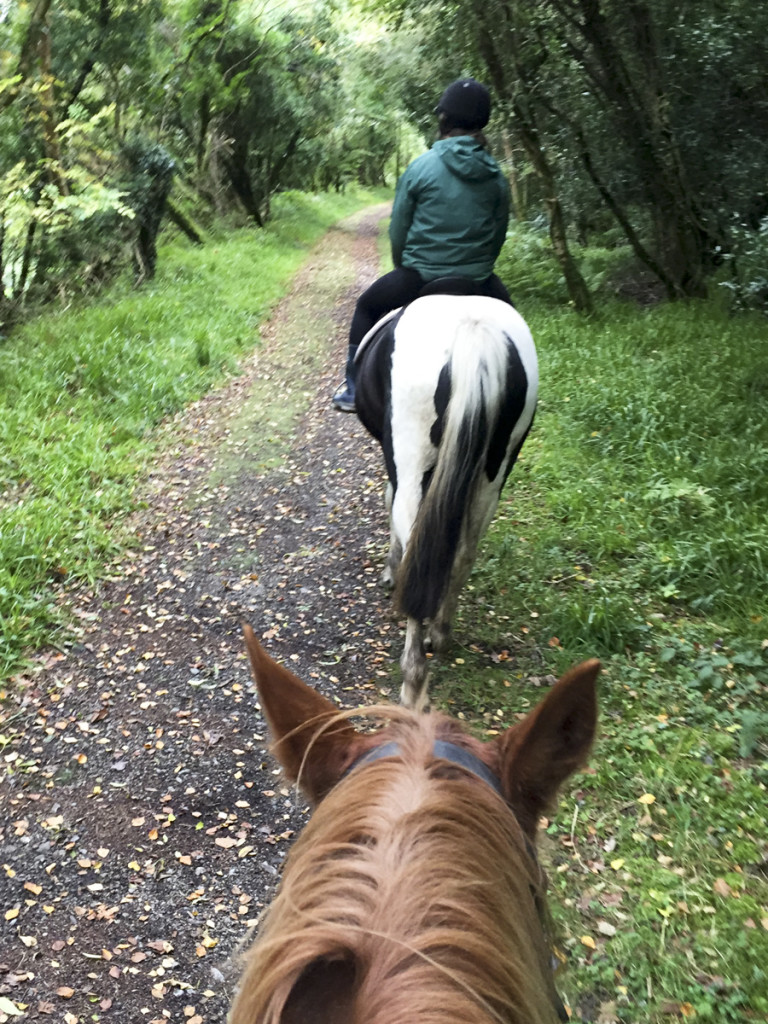 Horse Trail