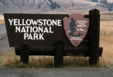 Yellowstone 2016